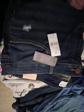 Lane Bryant Dark Blue Skinny Jeans with Light Distress